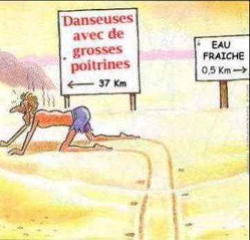 si danseuses avec  toi